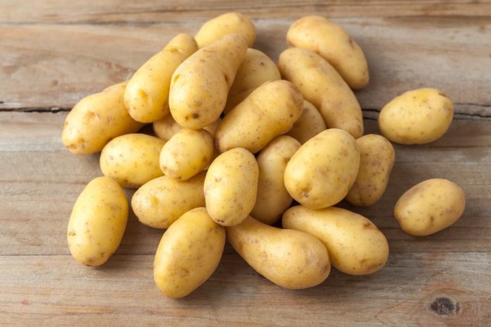 carbs in potatoes