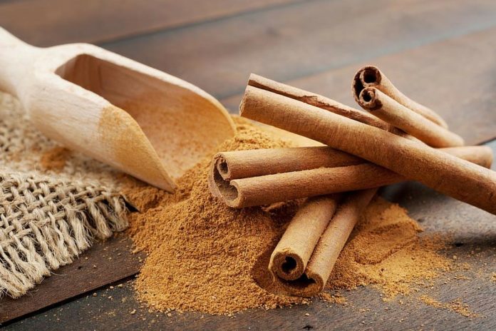is cinnamon bad for dogs